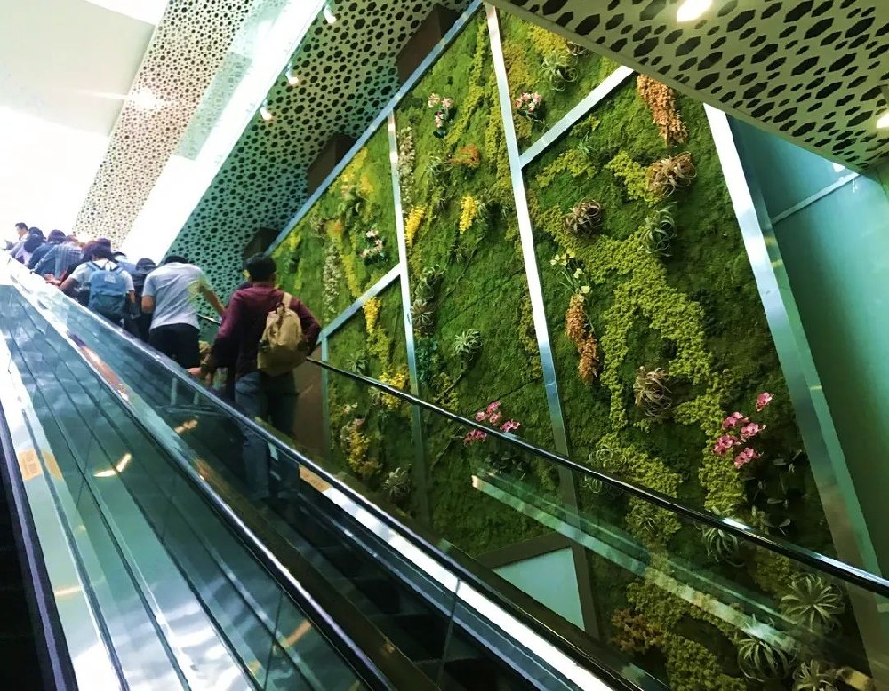 植物墙设计制作施工,墙体生态的绿色创新
