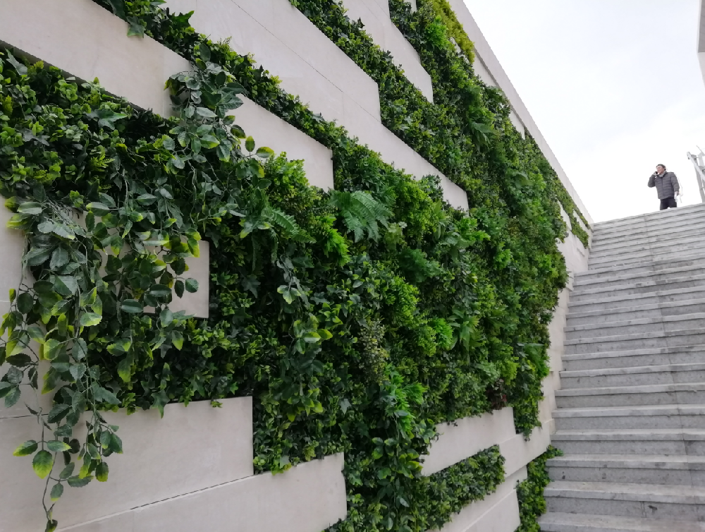 探索成都植物墙制作服务，为城市注入生机活力