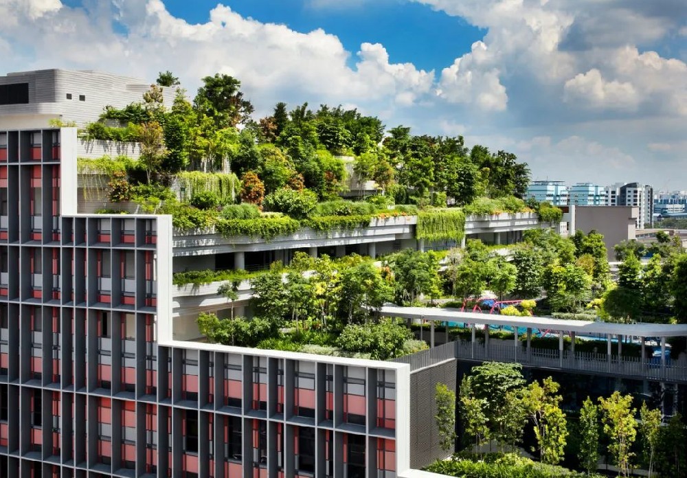 城市绿化中屋顶绿化的重要性