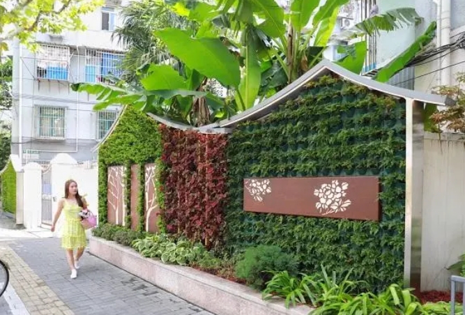 垂直绿化上海街头随处可见的绿