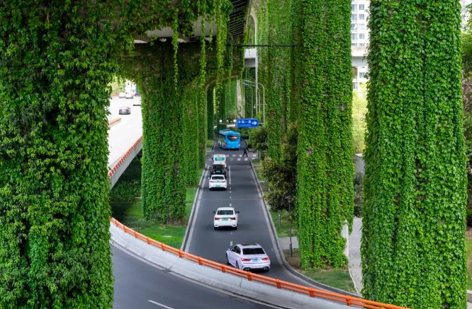 立体绿化 成都城市中的绿色花园