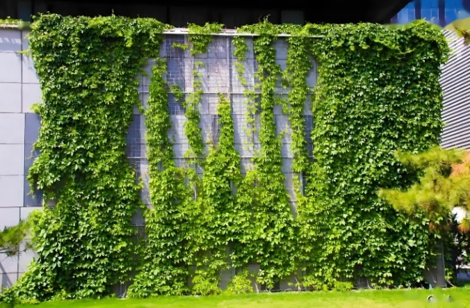 植物墙垂直绿化 城市中的一片心灵净土